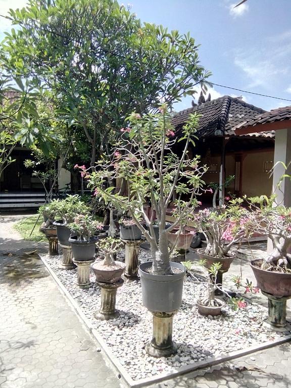 Wisna House Sanur Exterior foto